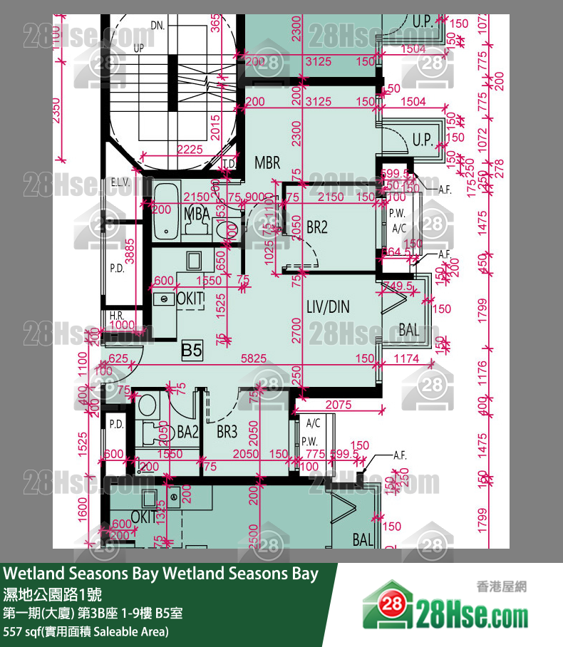 Wetland Seasons Bay 第一期(大廈) 第3B座 1樓 B5室 平面圖