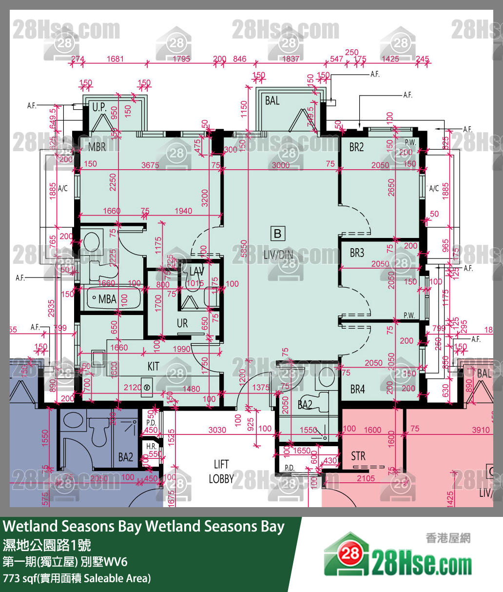Wetland Seasons Bay 第一期(獨立屋) 別墅WV6 1樓 B室 平面圖
