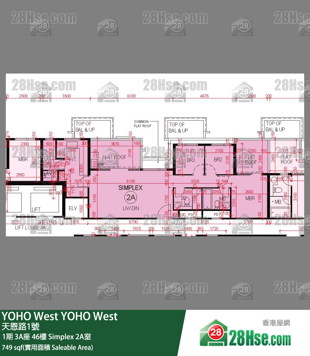 YOHO West,  Flat Simplex 2a, 46/f, Tower 3a, Phase 1 FloorPlan