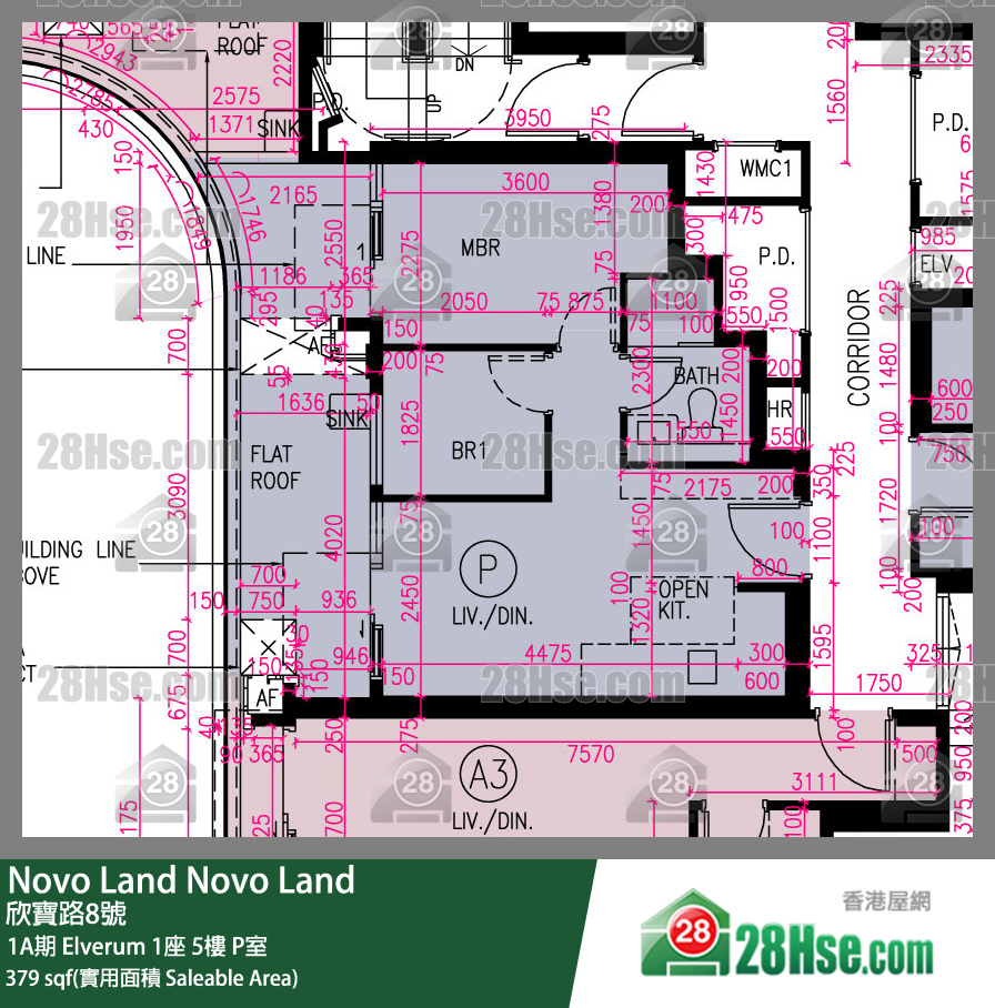 Novo Land 1A期 Elverum 1座 5楼 P室 平面图