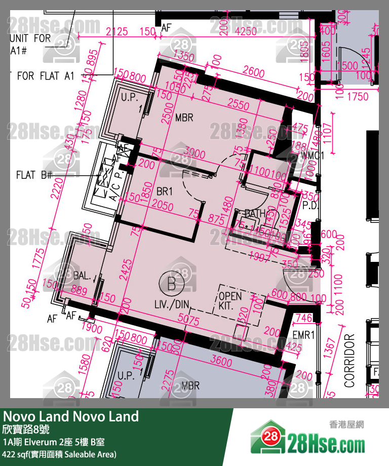 Novo Land 1A期 Elverum 2座 5楼 B室 平面图