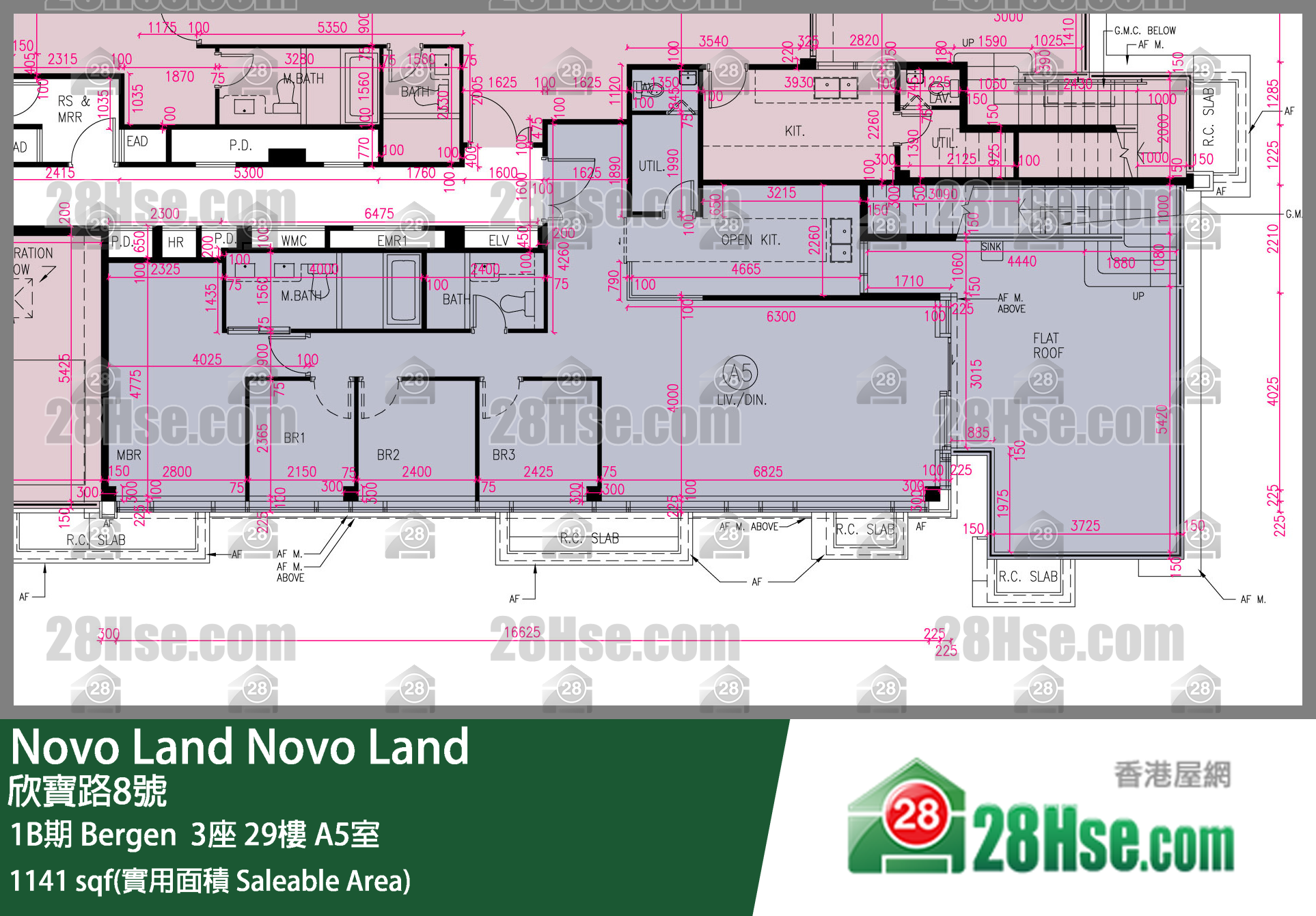 Novo Land 1B期Bergen  3座29樓 A5室 平面圖
