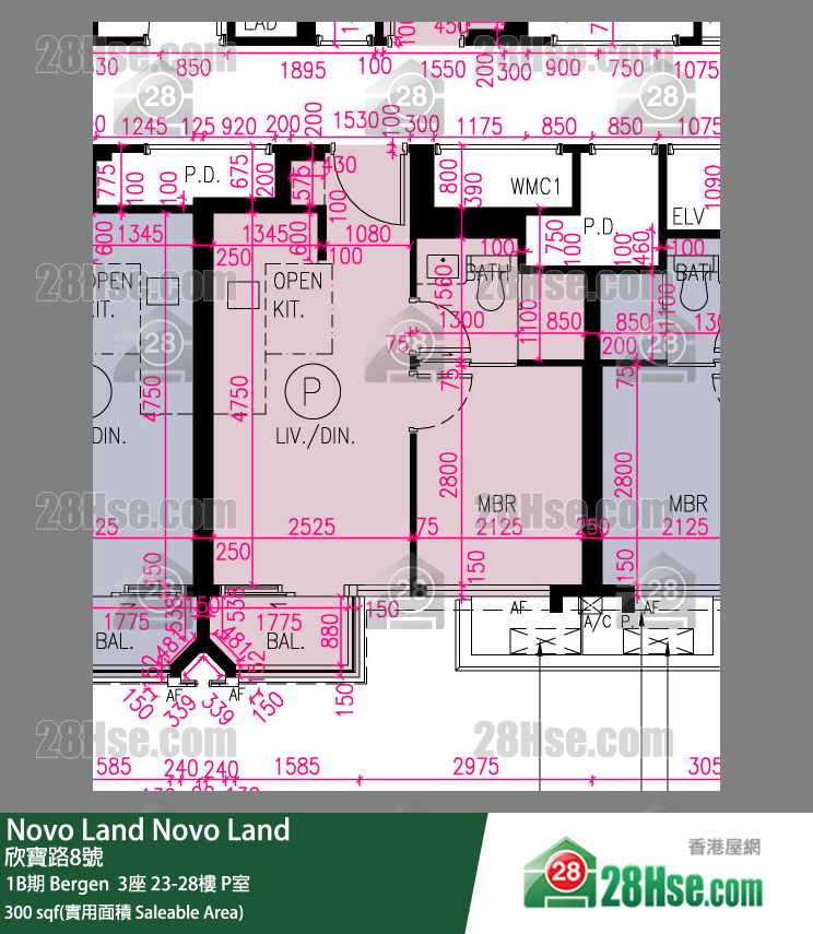 Novo Land 1B期 Bergen  3座 28樓 P室 平面圖