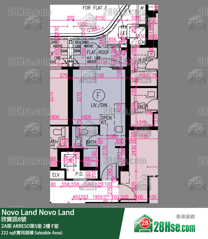 Novo Land 2A期 ARRESO第5座 2楼 F室 平面图