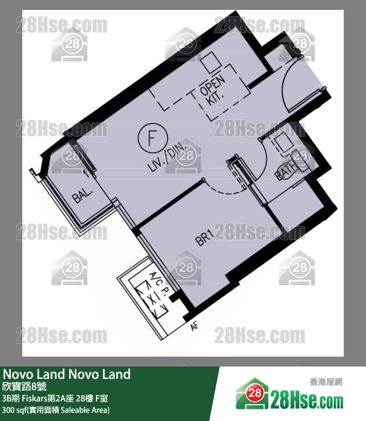 Novo Land 3B期 Fiskars第2A座 28楼 F室 平面图