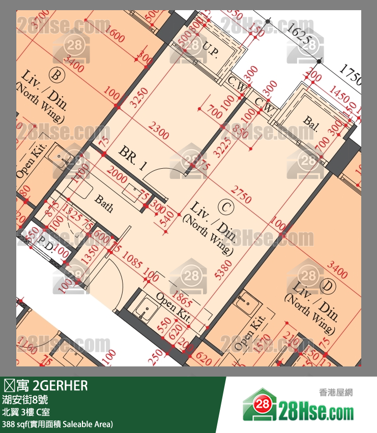 䨇寓 北翼3樓 C室 平面圖