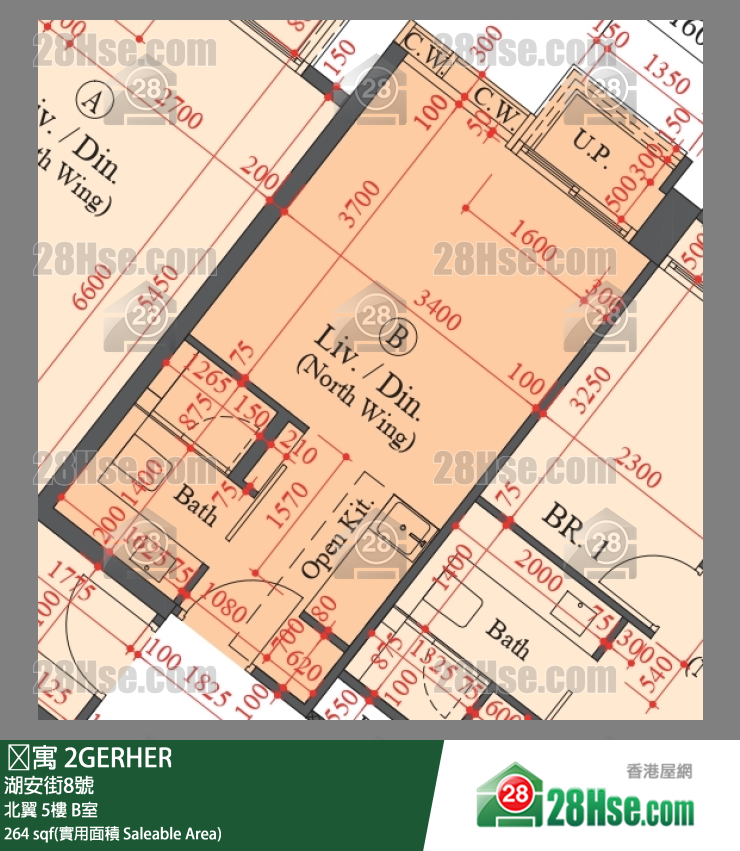 䨇寓 北翼5樓 B室 平面圖
