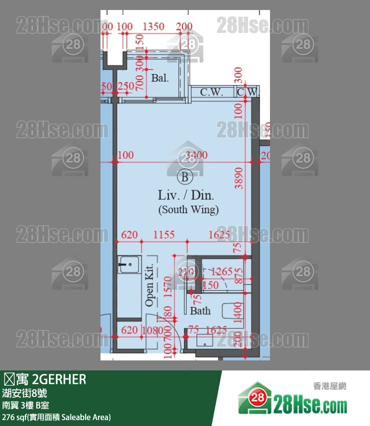 䨇寓 南翼3樓 B室 平面圖