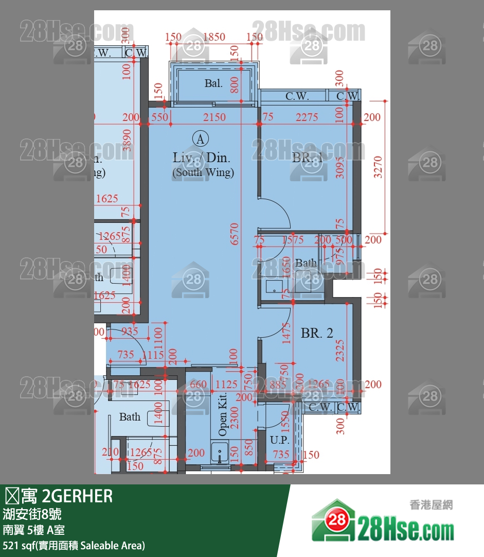 䨇寓 南翼 5樓 A室 平面圖