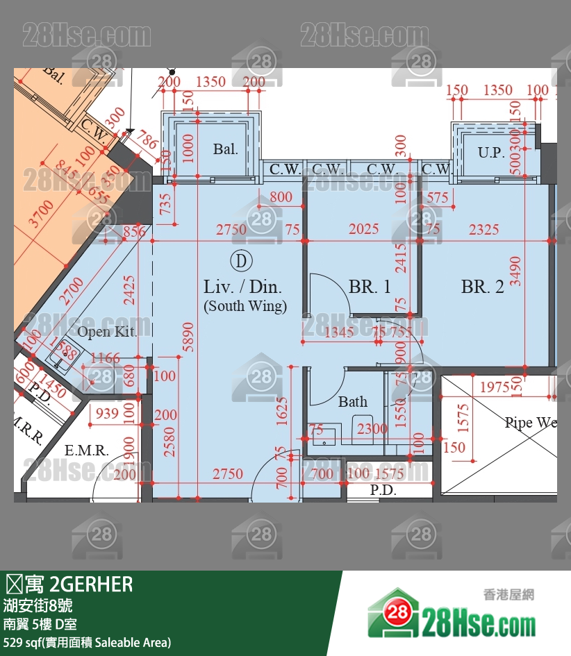 䨇寓 南翼5樓 D室 平面圖