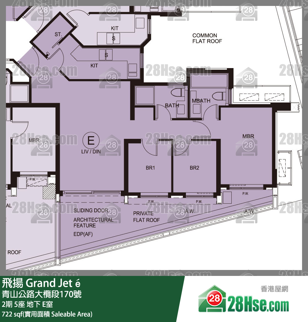 飛揚 2期 5座 E室 平面圖