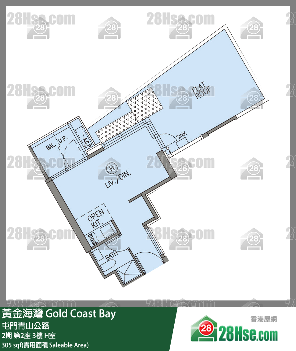 黄金海湾 单位平面图(由 28Hse 提供)