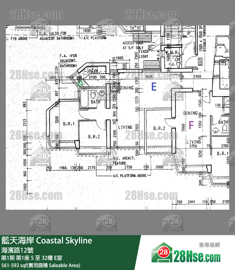 藍天海岸 第1期第1座10樓 E室 平面圖