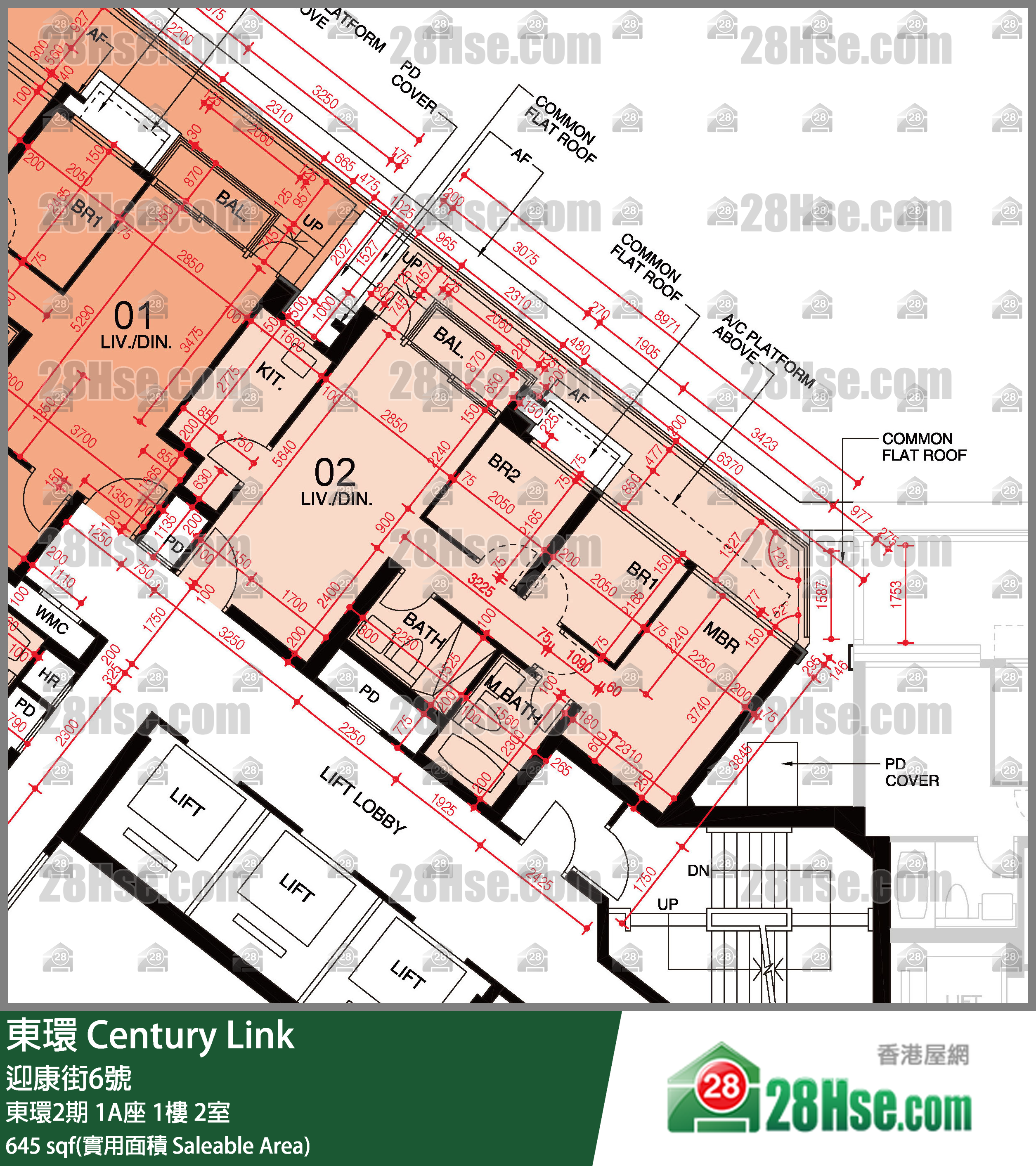 東環 東環2期1A座1樓 2室 平面圖