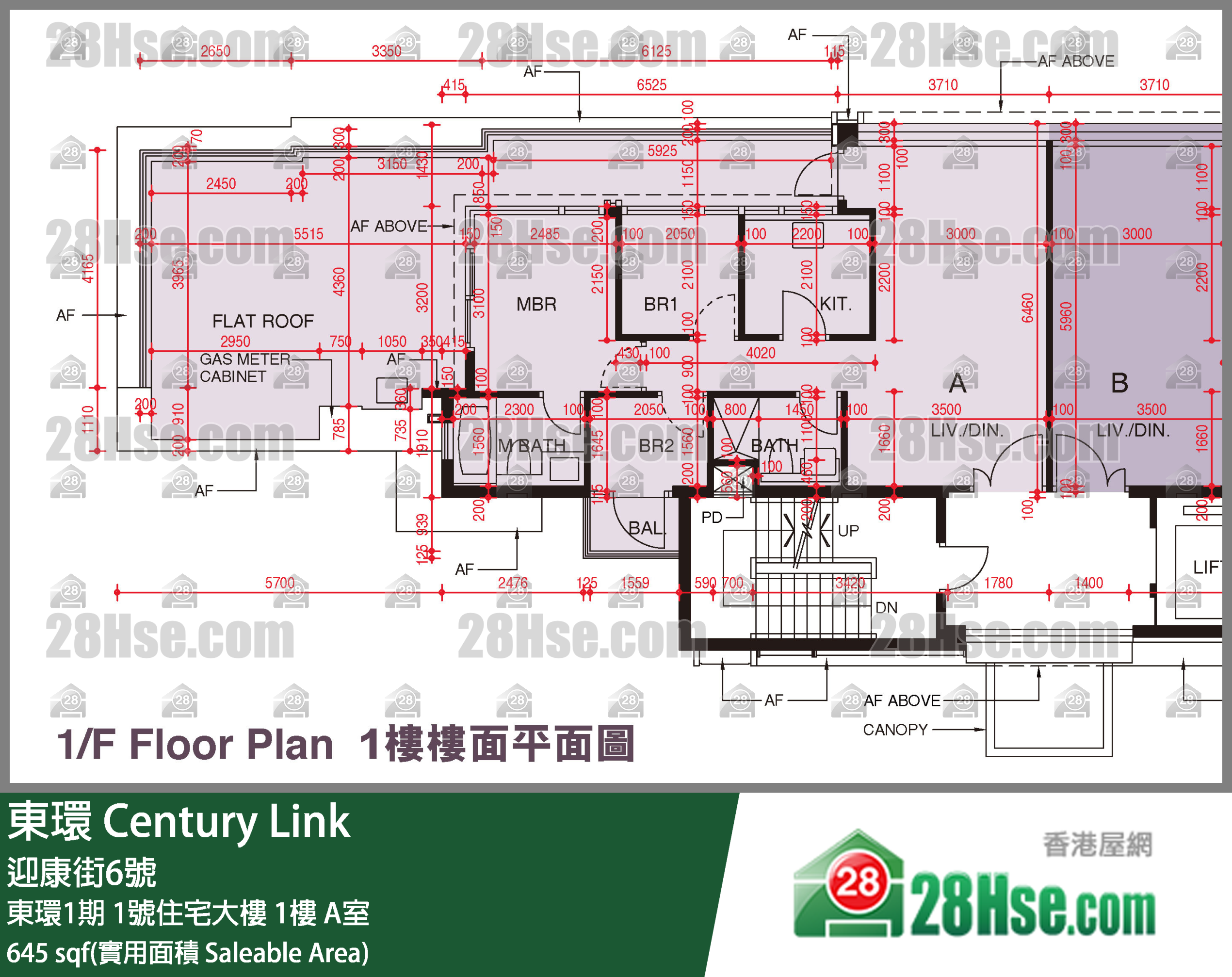 東環 東環1期1號住宅大樓1樓 A室 平面圖