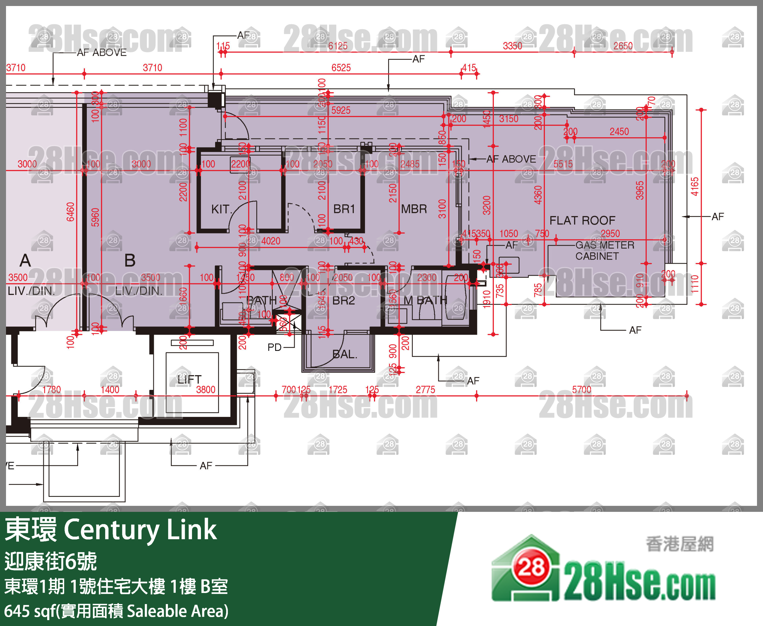 東環 東環1期1號住宅大樓1樓 B室 平面圖