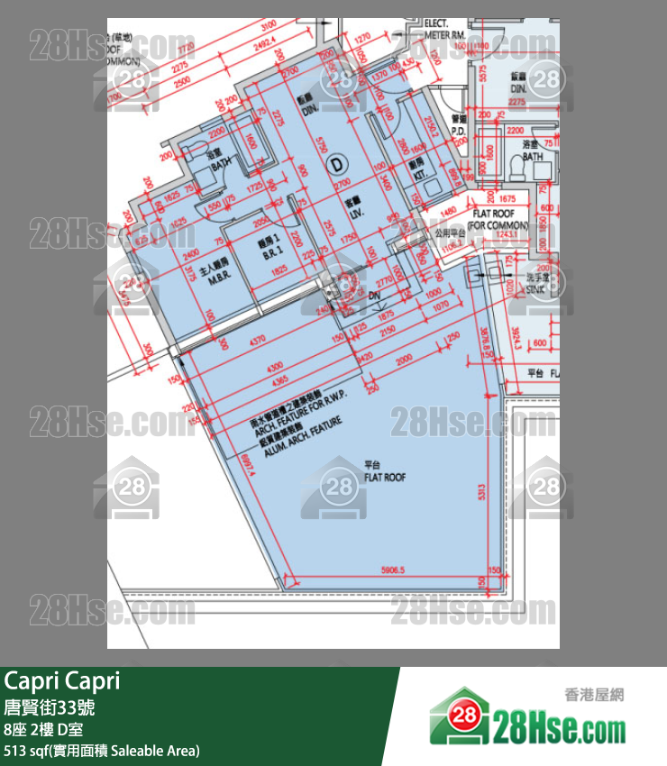 Capri 大厦8座2楼 D室 平面图
