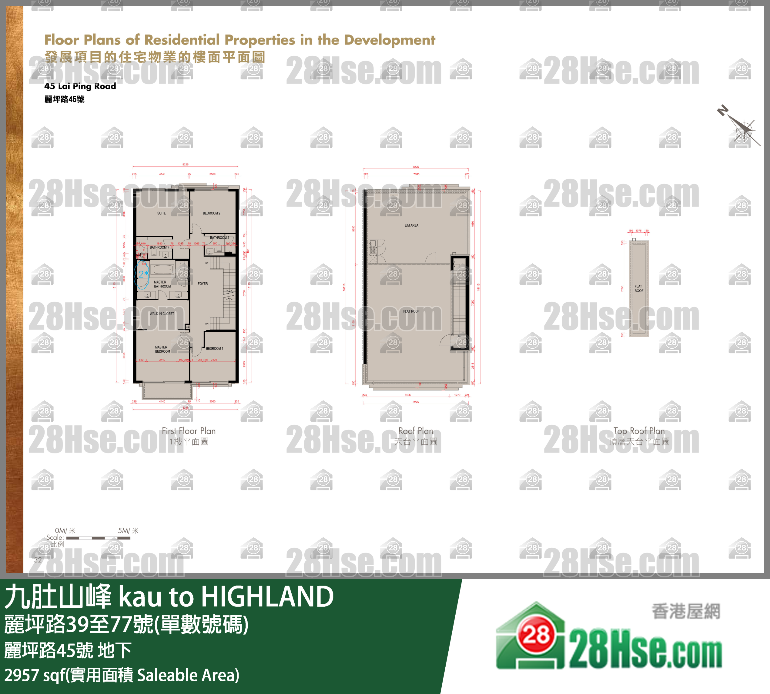 九肚山峰 丽坪路45号 平面图