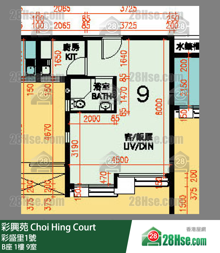 彩興苑 B座 1樓 9室 平面圖