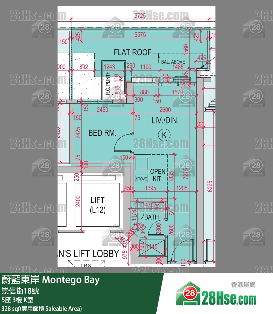 蔚藍東岸 5座 3樓 K室 平面圖