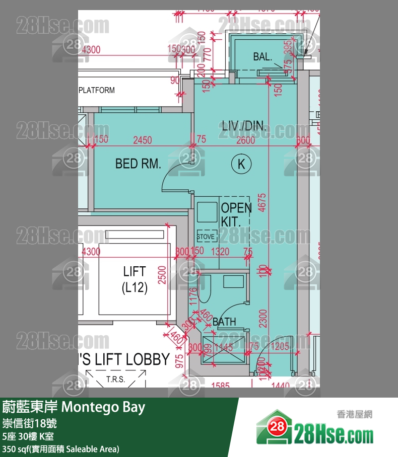 蔚藍東岸 5座 30樓 K室 平面圖