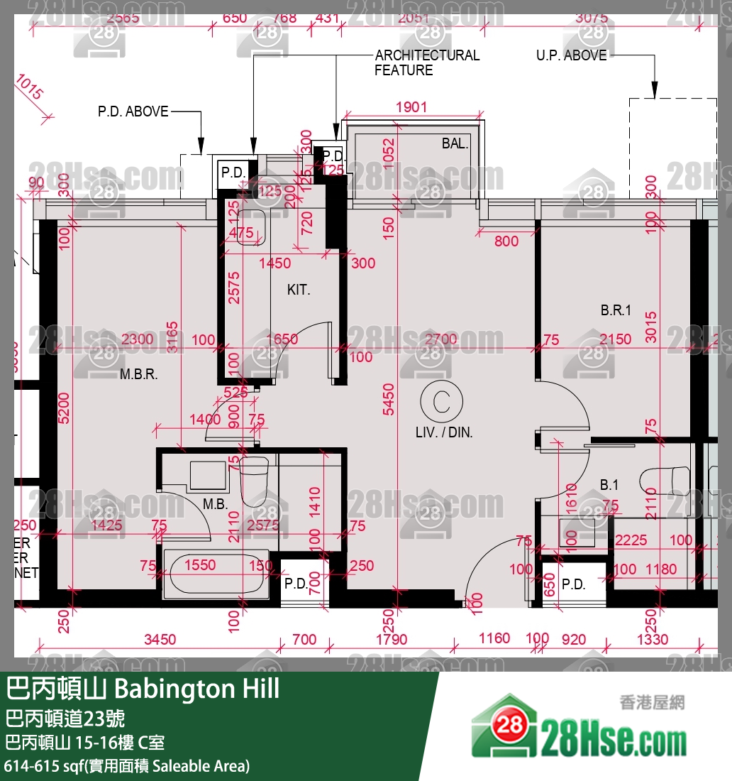 巴丙頓山 巴丙頓山 16樓 C室 平面圖