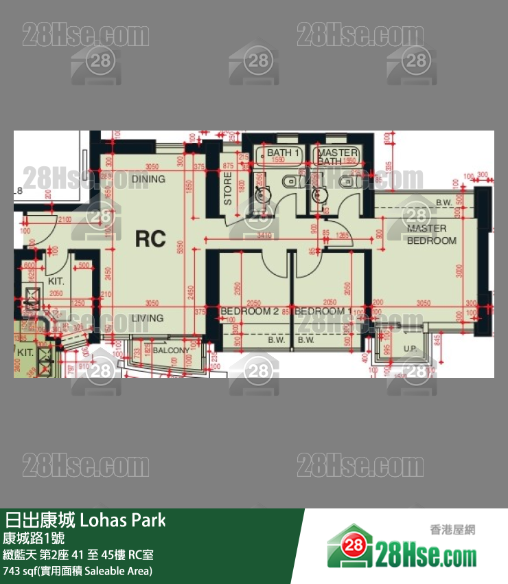 緻藍天 緻藍天 第2座 41樓 RC室 平面圖