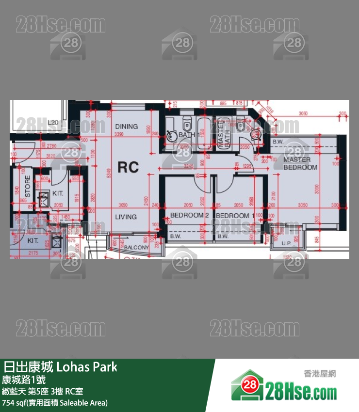 緻藍天 第5座3樓 RC室 平面圖