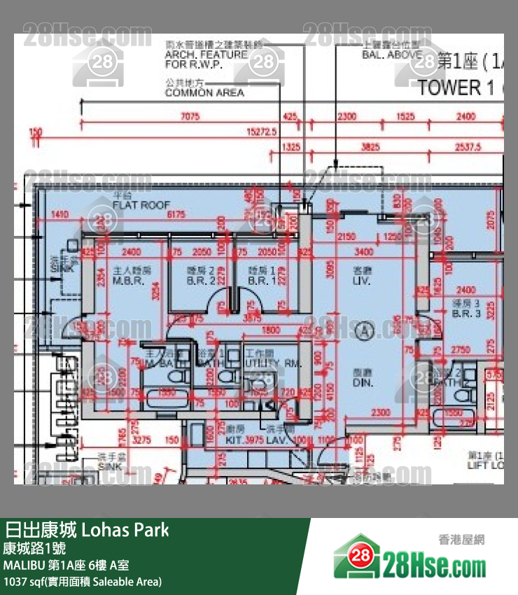 MALIBU 第1A座6楼 A室 平面图