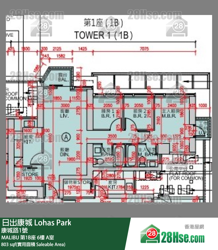 MALIBU 第1B座 6楼 A室 平面图