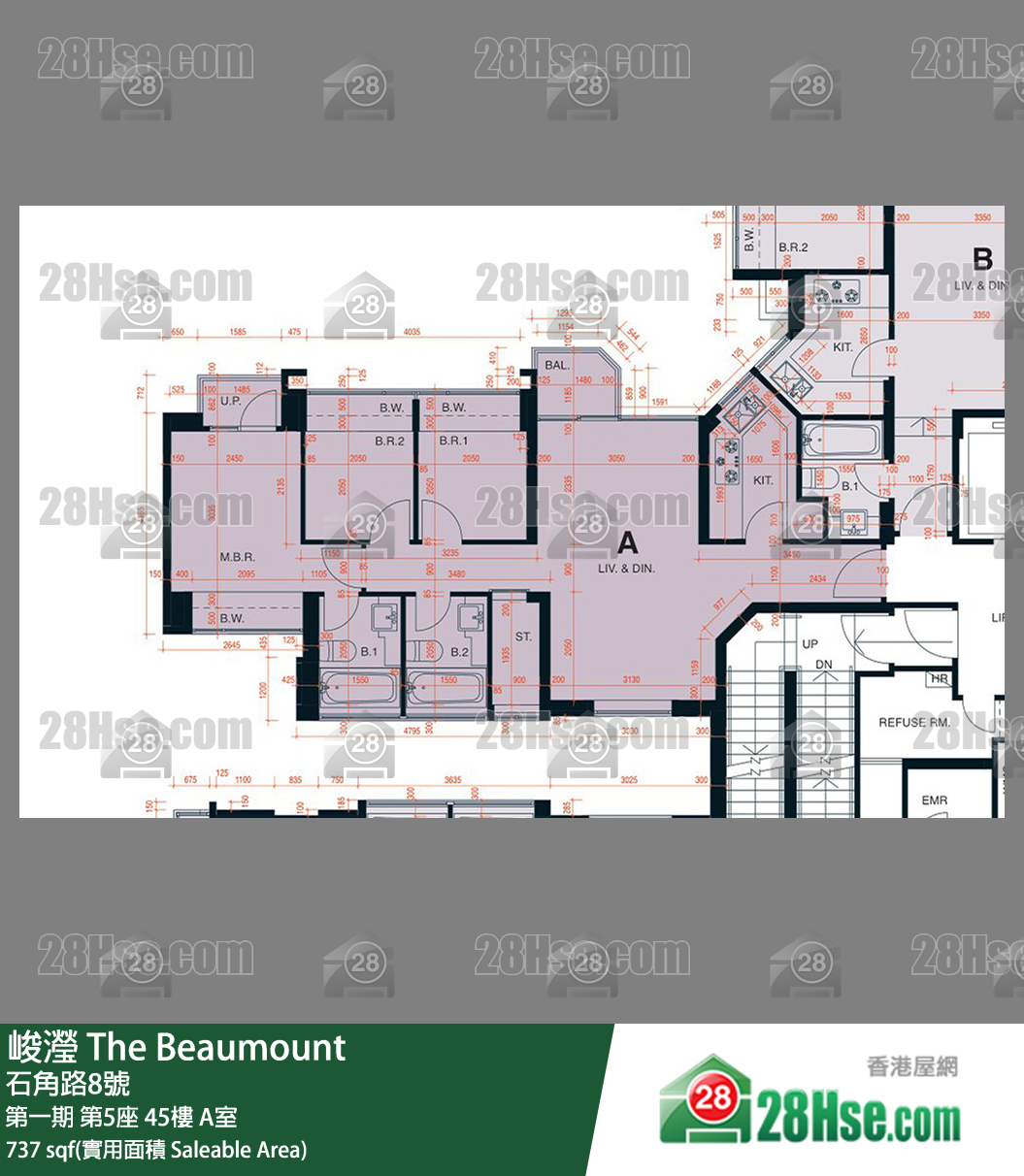 峻瀅 第一期 第5座 45樓 A室 平面圖