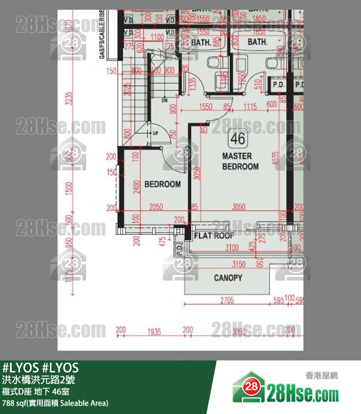 #LYOS 复式D座地下 46室 平面图