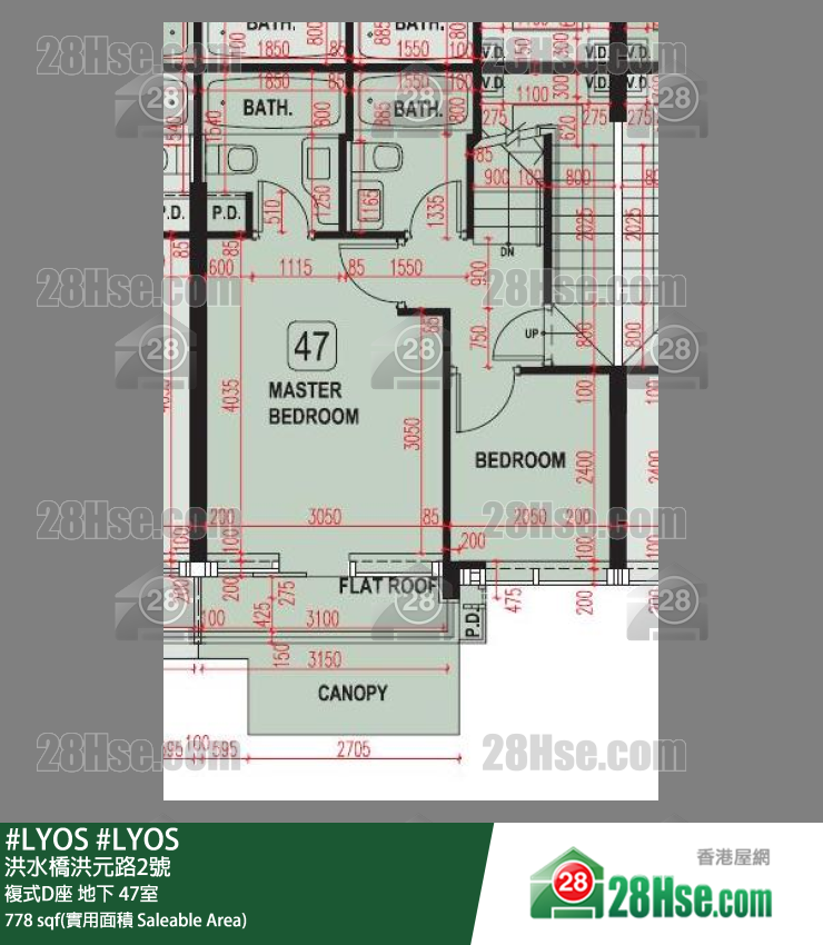 #LYOS 复式D座地下 47室 平面图