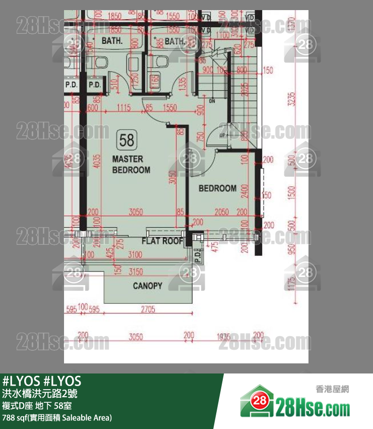 #LYOS 复式D座地下 58室 平面图