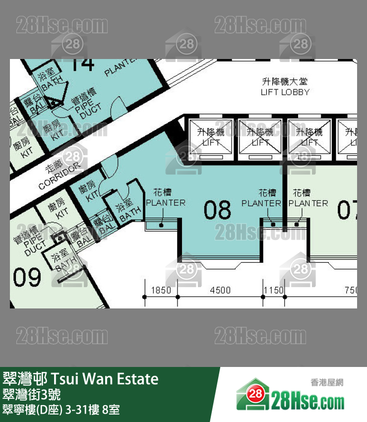 翠湾邨 翠宁楼(D座)12楼 8室 平面图