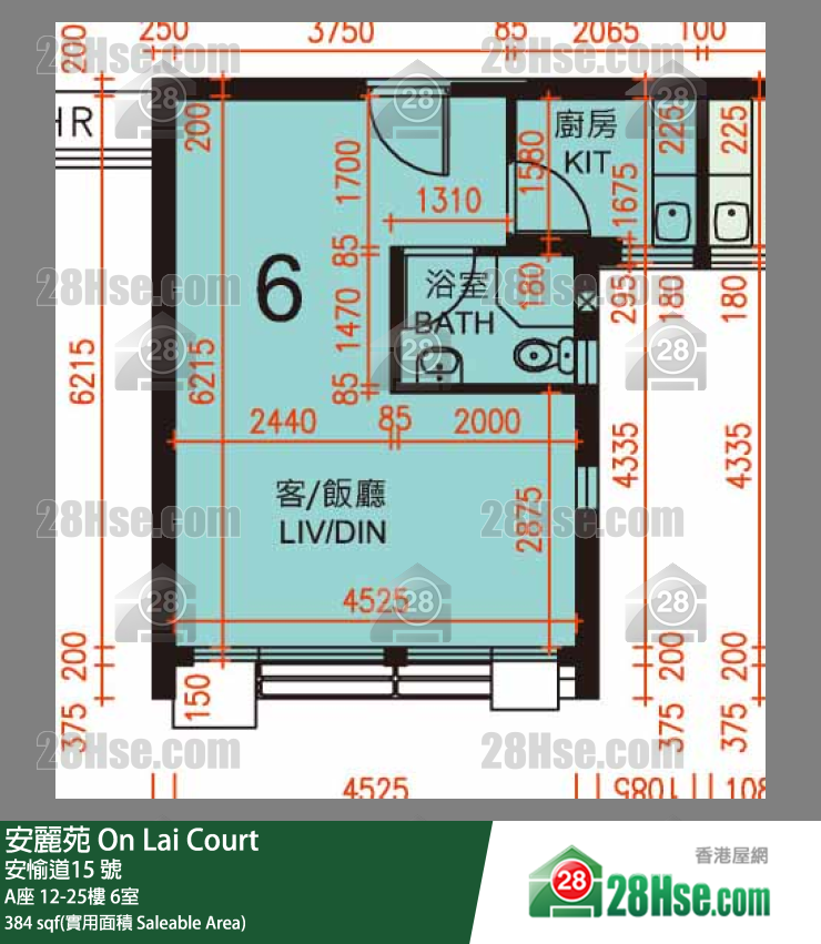 安麗苑 A座13樓 6室 平面圖