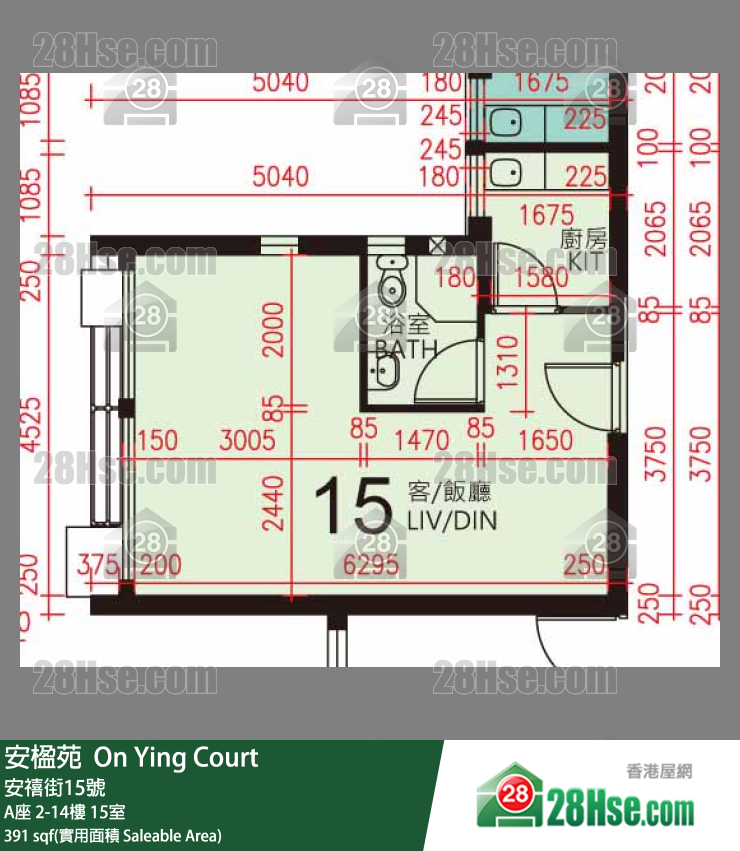 安楹苑 A座10樓 15室 平面圖