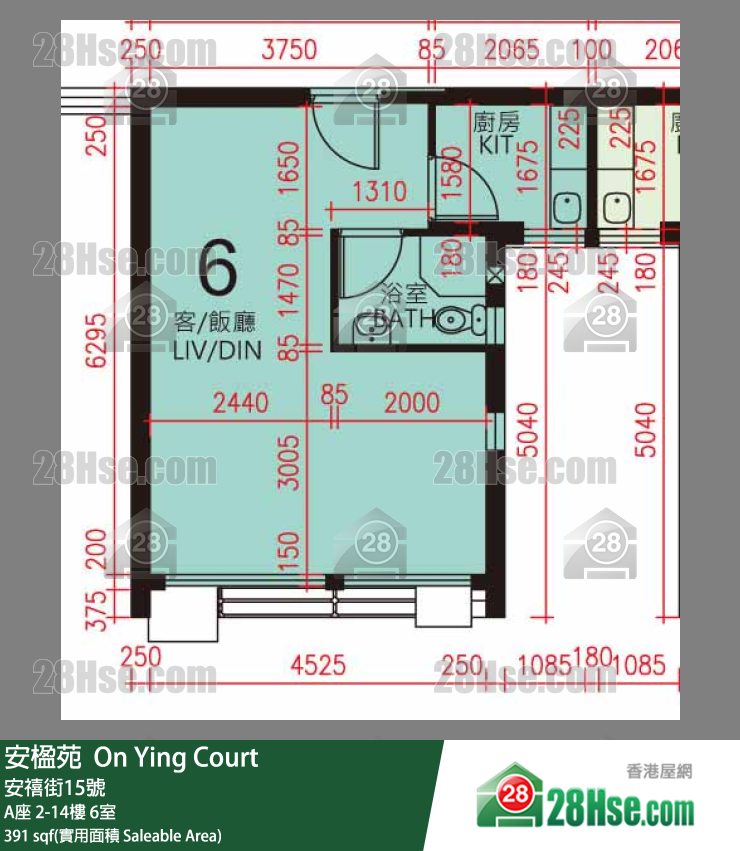 安楹苑 A座4樓 6室 平面圖