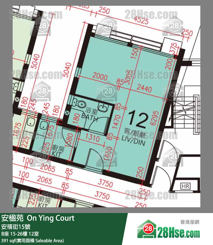 安楹苑 B座19樓 12室 平面圖