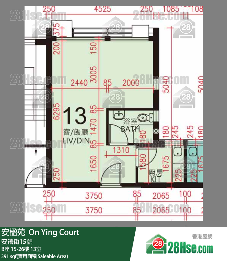 安楹苑 B座19樓 13室 平面圖
