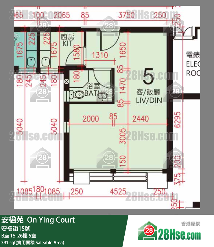 安楹苑 B座19樓 5室 平面圖