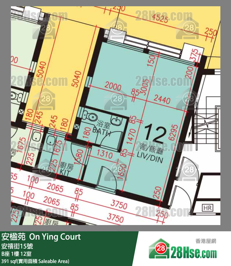 安楹苑 B座1楼 12室 平面图