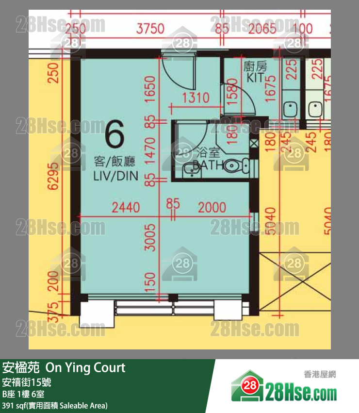 安楹苑 B座1樓 6室 平面圖