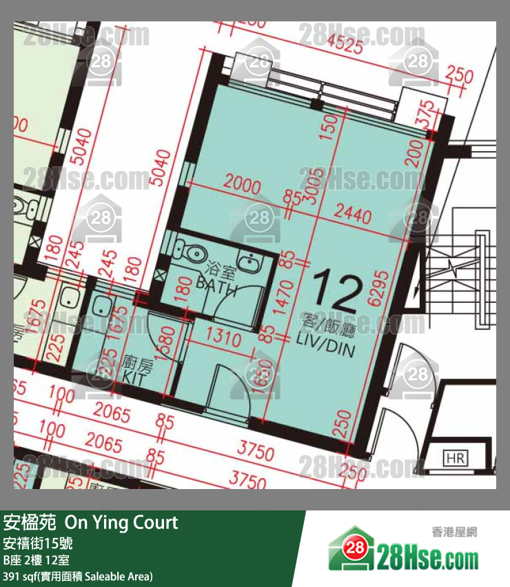 安楹苑 B座2樓 12室 平面圖