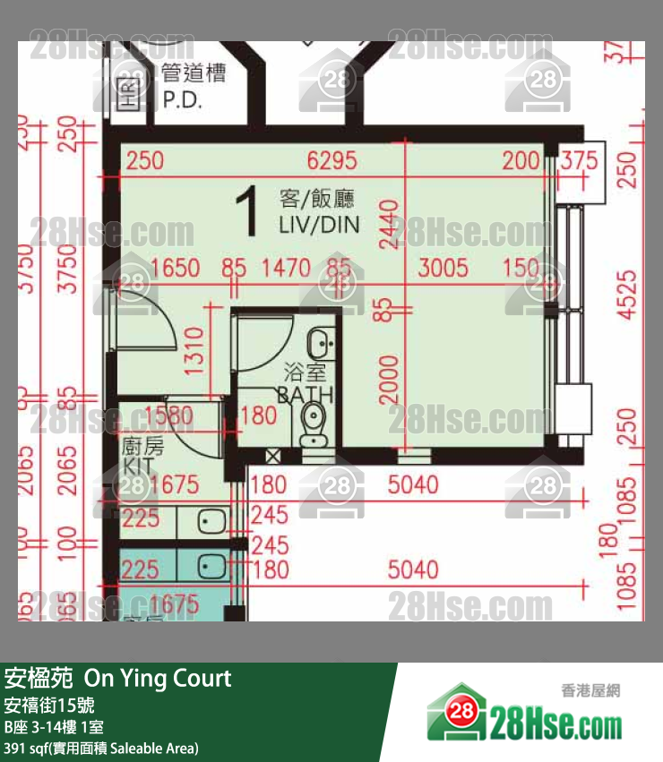 安楹苑 B座9樓 1室 平面圖