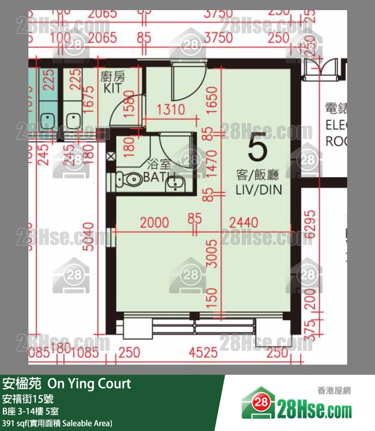 安楹苑 B座5樓 5室 平面圖