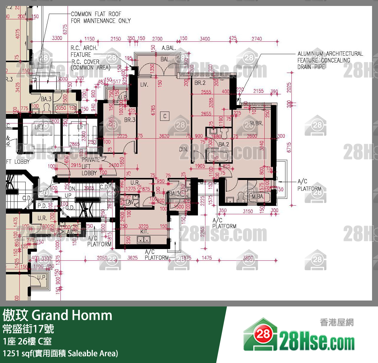 傲玟 单位平面图(由 28Hse 提供)