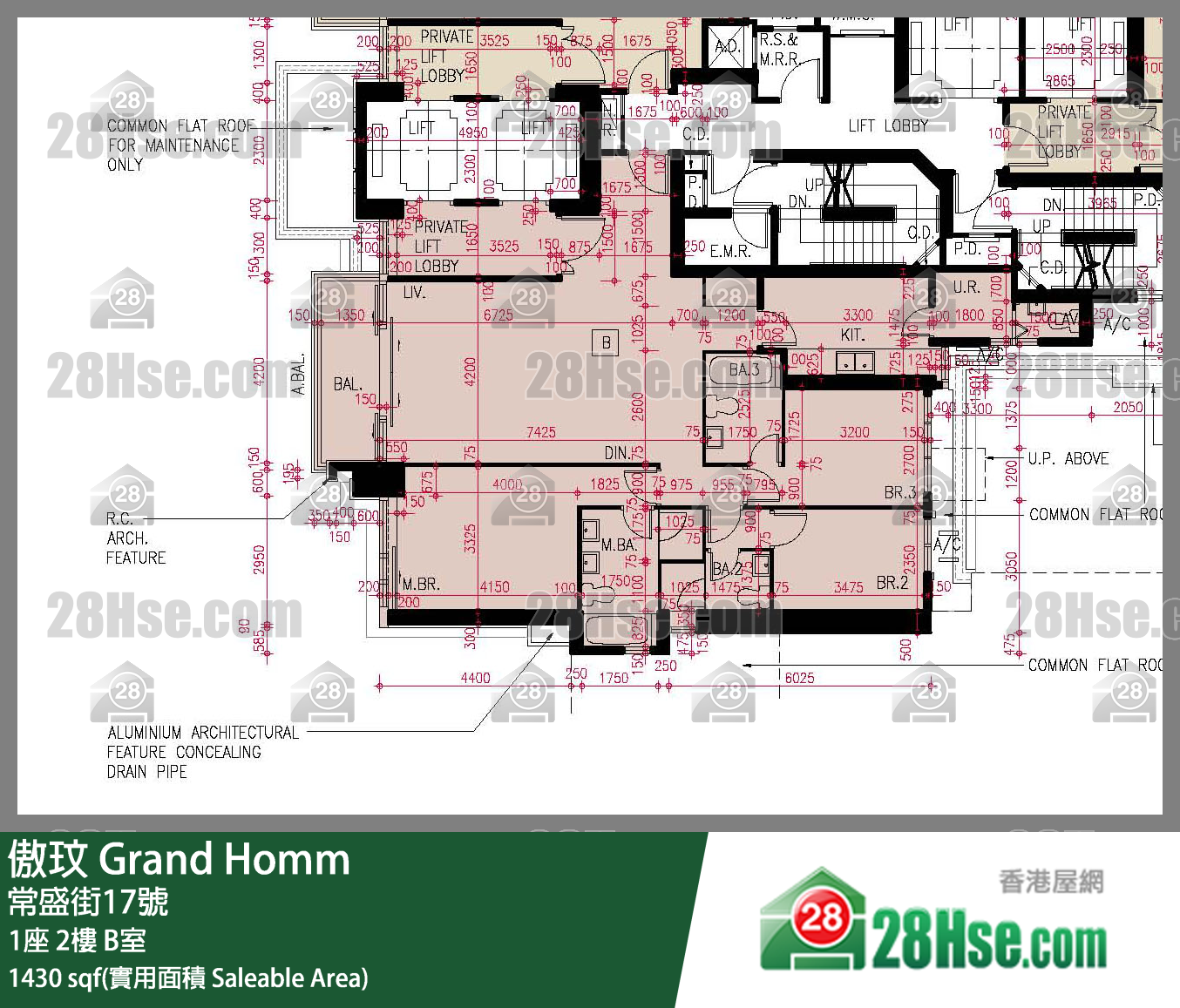 傲玟 1座 2樓 B室 平面圖
