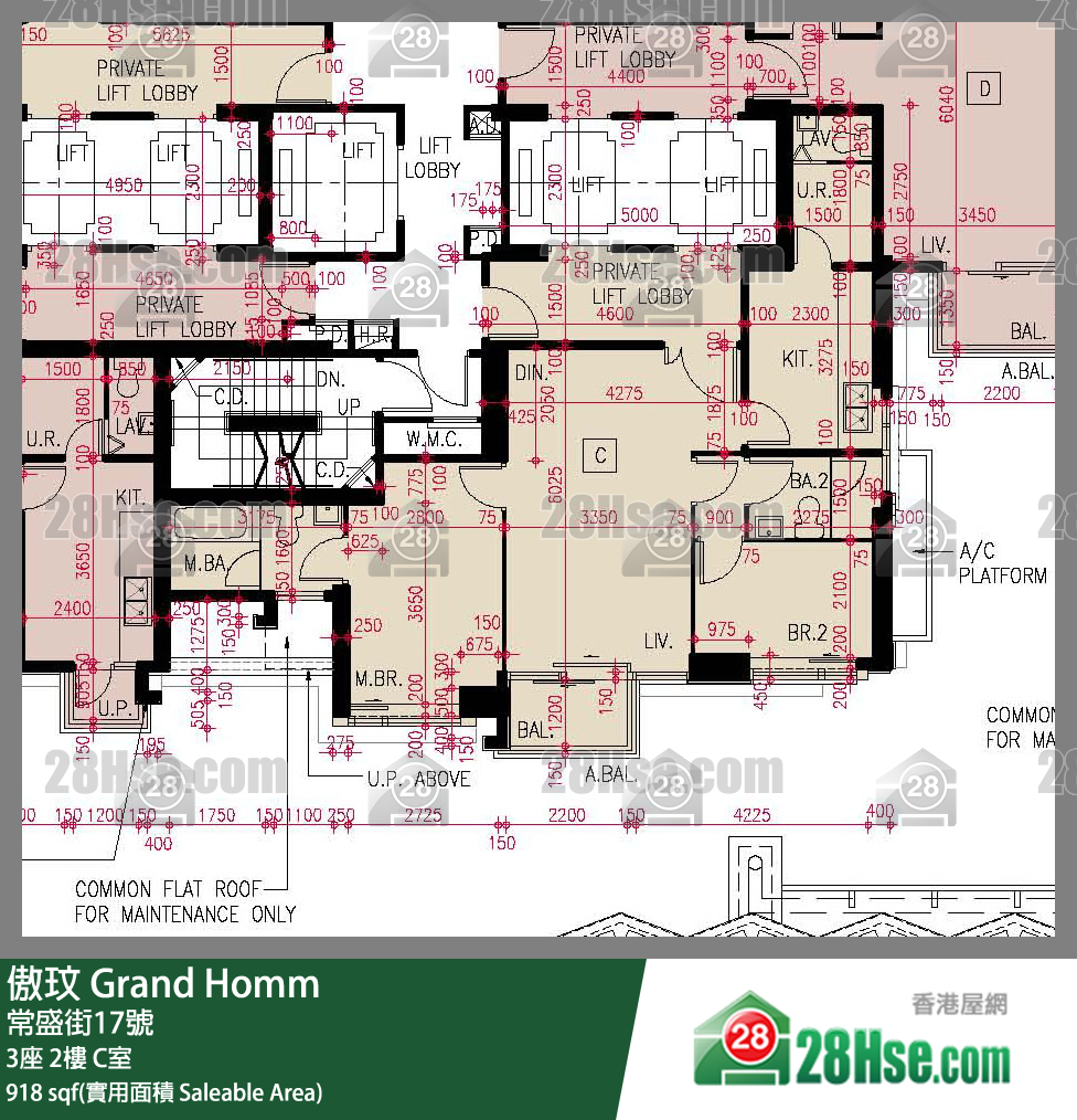 傲玟 3座2樓 C室 平面圖