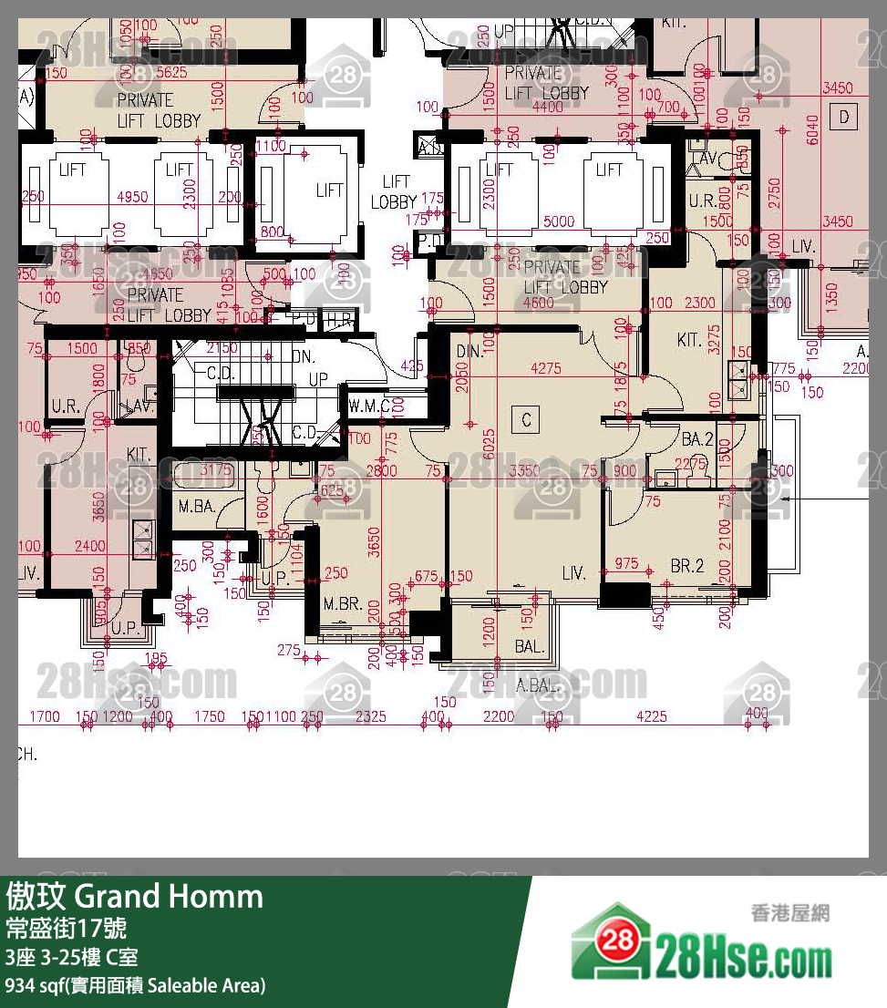 Grand Homm Unit FloorPlan (Provided by 28Hse)